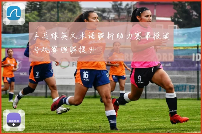 乒乓球英文术语解析助力赛事报道与观赛理解提升