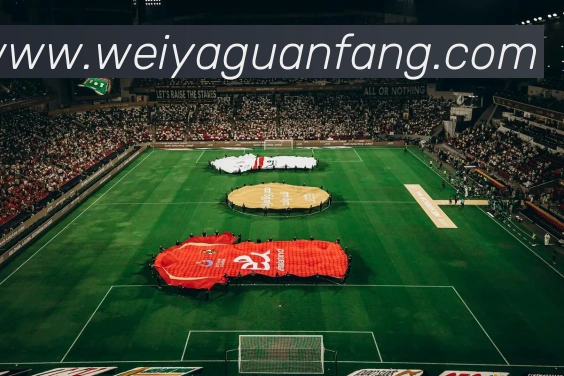 九游官网j9平台生态图