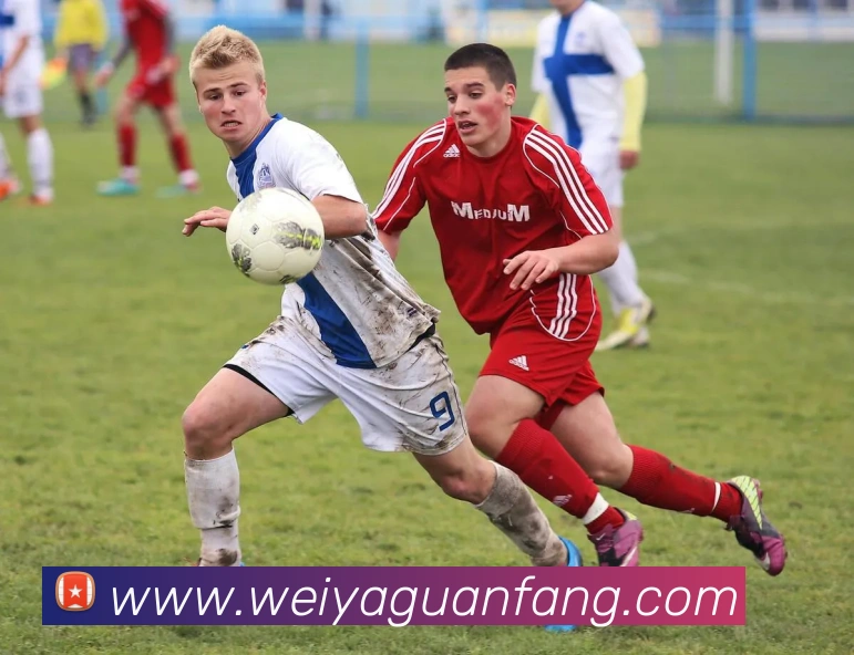 九游官网j9APP 封面图